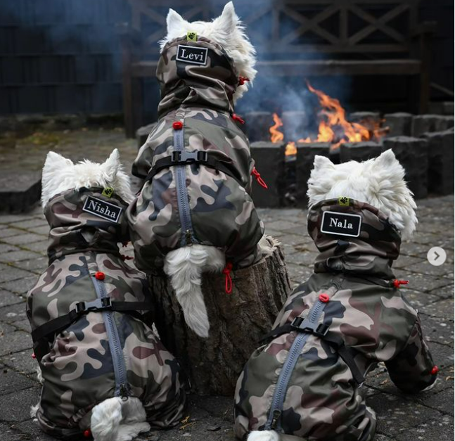 Hot 🔥 Deal!! We have a 45% code for you at @bestdograincoats !!!! We've got a bunch of new Raincoats, and guys, they are awesome!!! Our last ones lasted 4 years!!! Don't miss that deal! ♥️🔥♥️🔥
