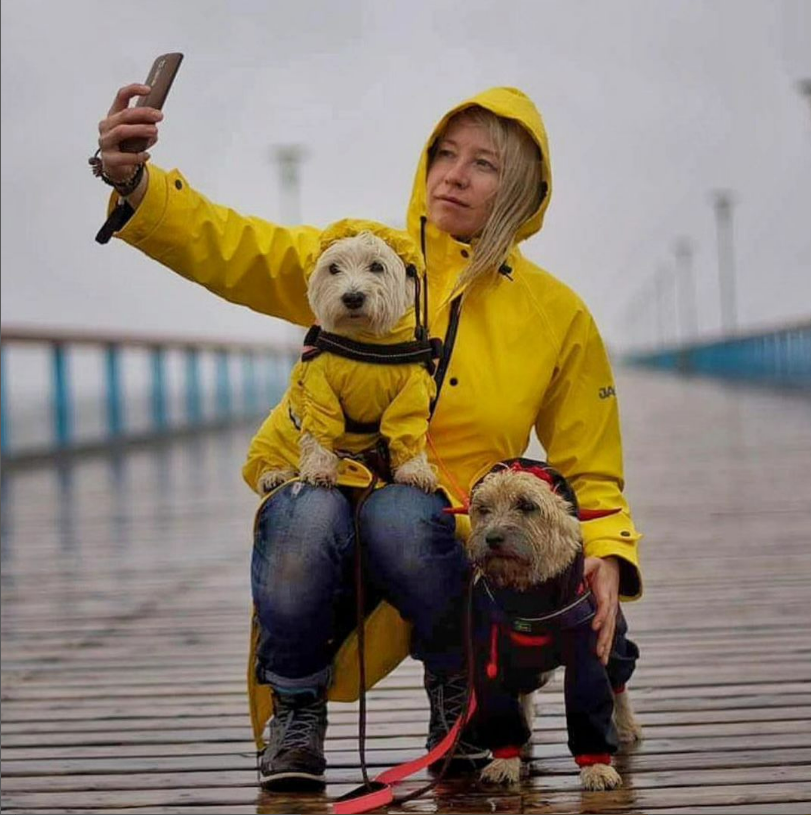 Yellow is a great color, isn't it?

Would you like yellow raincoat to be back on stock??

Dog raincoats. Must have for easy dog life as it lets keep fur clean, skin healthy, home tidy, car dirtless!!

p.s. probably the best our photo ever. Thanks @kuban_girl - we had so many nice phototrips... 💛