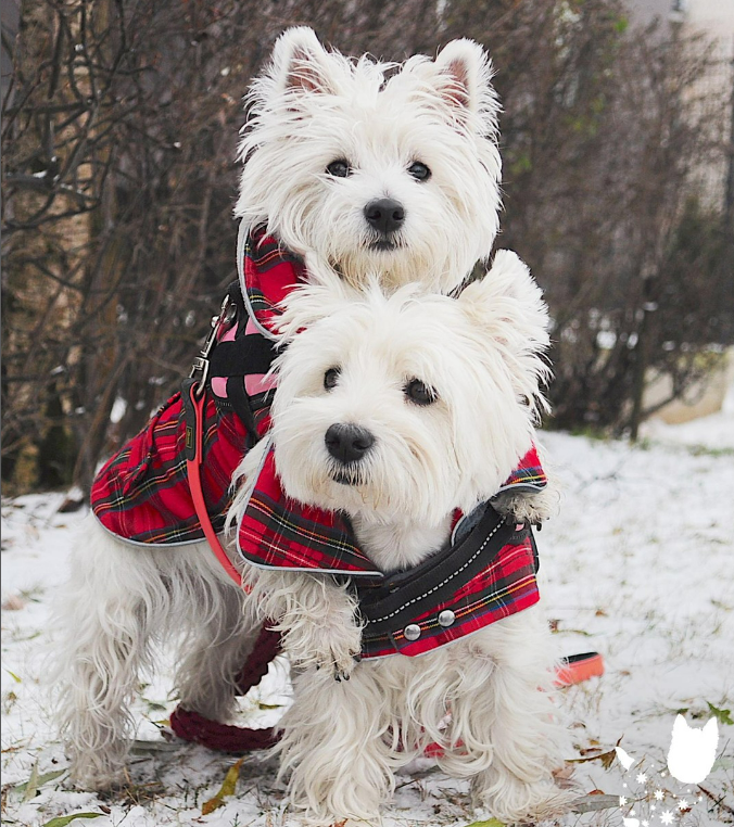 Taking care of each other – that is what being a part of a family means! 💖