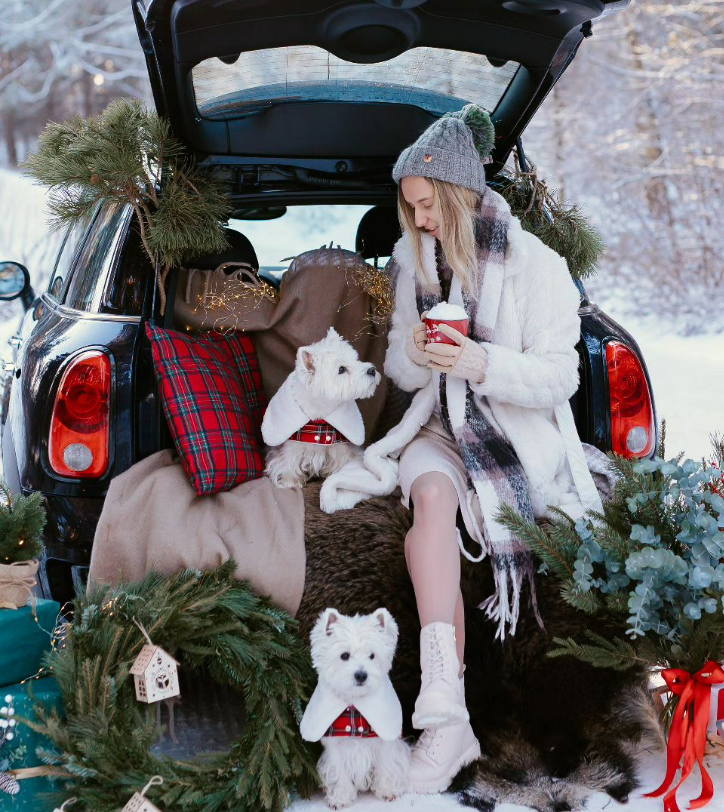 If you had to give me a Christmas present and that would be described in your last direct message to anybody, literally the last one you just send. What would I get from you this year?

Lets have some fun👏👏💃💃

Photo made by @irinabielenienephotography 📸
Thank you Dina, Lilly and @vi_dari for posing ♥️♥️
Dogs wear a plaid Scottish coat with white fake fur collar- newest design on the shop.