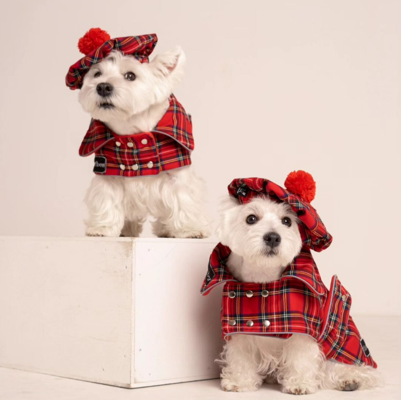 🌍 We are CiuCiu and we are proud to be a European brand, bringing you the finest dog fashion to all the continents. 🇪🇺

This year you reached us from 17 different countries, 4 that are new in our list. Isn't it fantastic numbers 🥹

With a wide range of sizes and styles, there's something for every pup. From raincoats to jackets, vests to coats, and even summer overalls, we've got it all! ☔

And of course gender matters to us, and breed matters, get super comfy and customised items for your special pups🌞