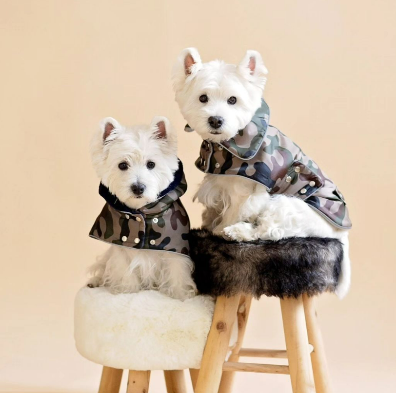 🔒 Wind, mud or snow, rain or cold... We've got you covered! Our garments have been carefully picked and tested over the course of 8 years, guaranteeing best comfort for your buddy and easiness for you.

👌 Each item is made with precision, taking from 1 up to 7 hours (depends on item) to ensure perfection in every stitch. 💪

Just so you know, its not just a peace in your wordrobe, its a masterpiece you dog will be wearing for many years 💚🐕💚